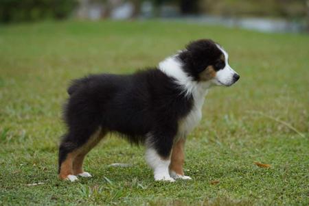 Click to view more details