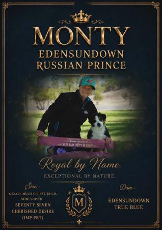 Click to view more details