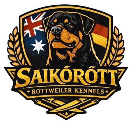 Rottweiler for sale by SAIKOROTT
