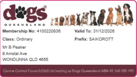 Rottweiler for sale by SAIKOROTT