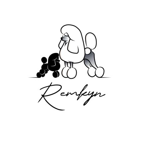 Poodle (Standard) for sale by REMKYN