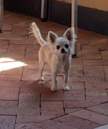 Click to view more details