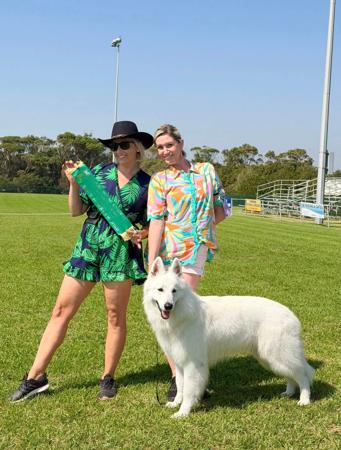 White Swiss Shepherd Dog for sale by SAFFIORAIRE