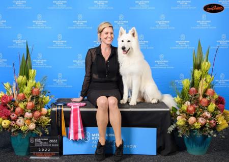 White Swiss Shepherd Dog for sale by SAFFIORAIRE