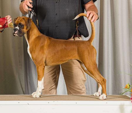 Click to view more details