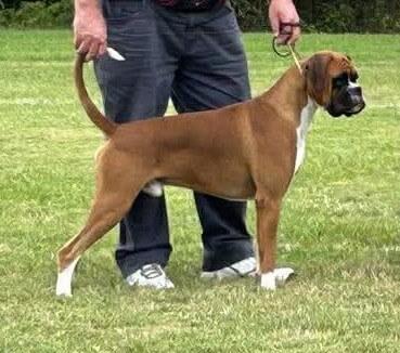 Click to view more details