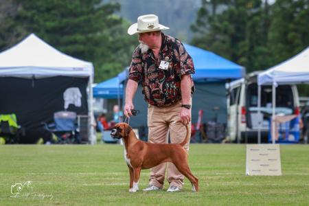 Click to view more details