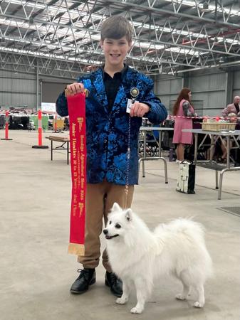 Japanese Spitz for sale by MATHILDAPARK