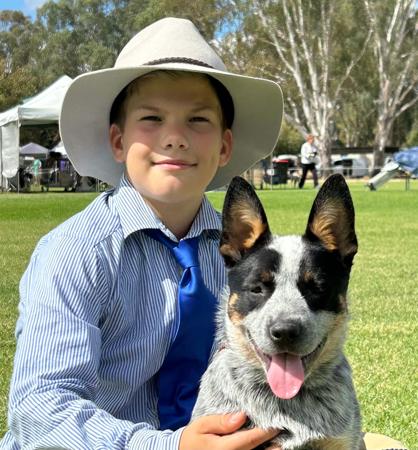 Australian Cattle Dog for sale by MATHILDAPARK
