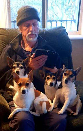 Tenterfield Terrier for sale by TENTELLA