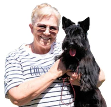 Scottish Terrier for sale by CALANCLAN