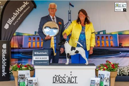 Click to view more details