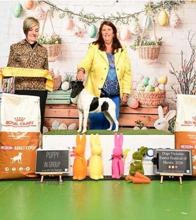 Click to view more details