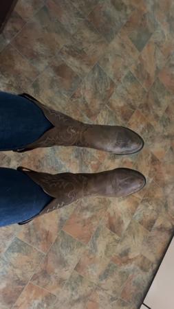 German Shepherd Dog for sale by ALSKAR