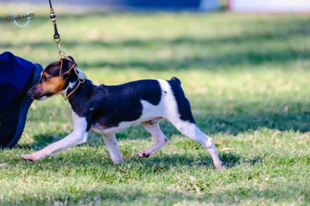 Click to view more details