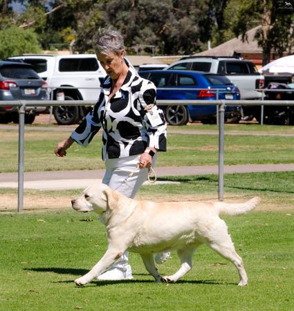 Click to view more details