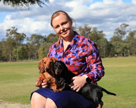 Dachshund (Miniature Long Haired) for sale by AASHUDNA