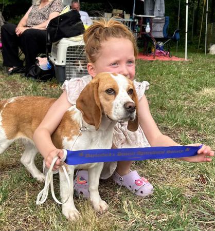 Beagle for sale by WATCHOUTJAX