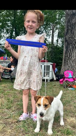 Jack Russell Terrier for sale by WATCHOUTJAX