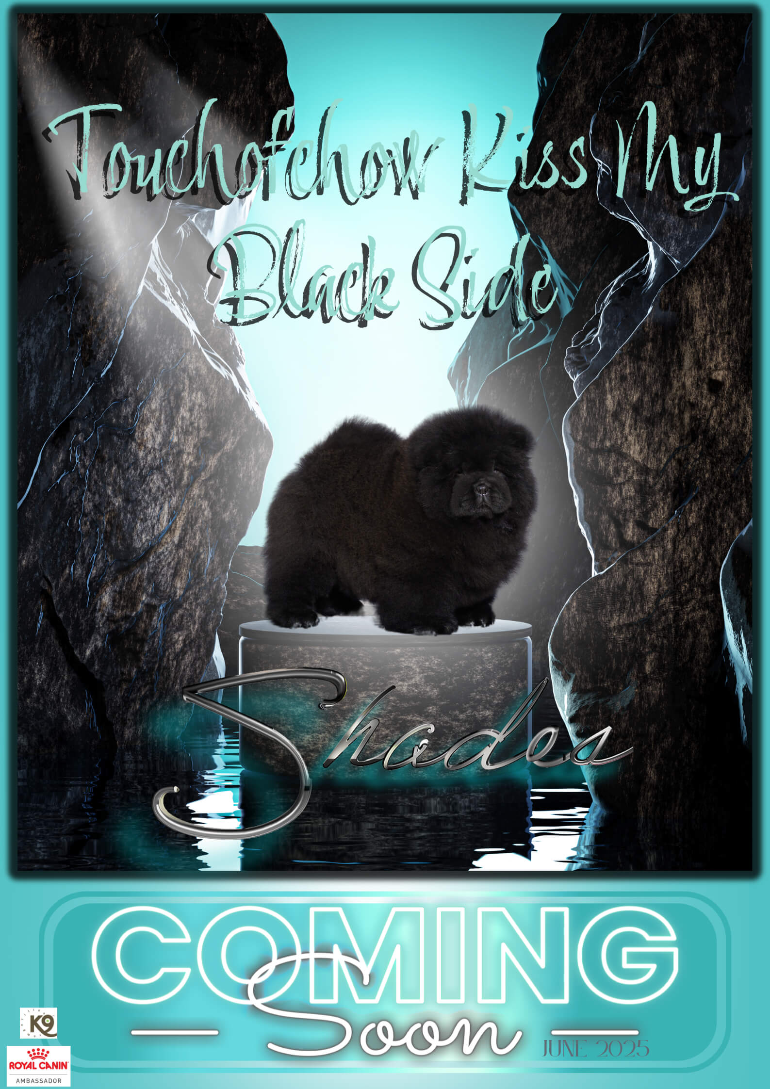 touchofchow-kiss-my-black-side-ai-chow-chow-owned-by-touchofchow