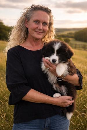 Border Collie for sale by TYINPI