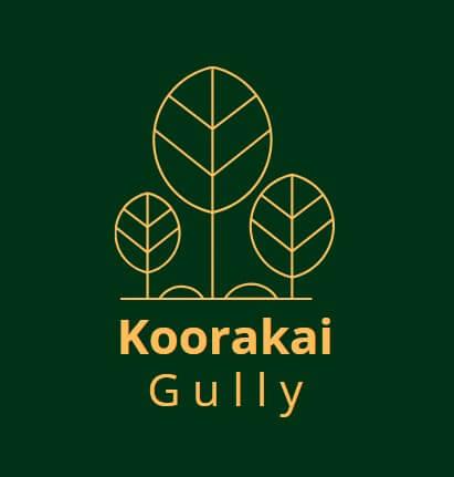 Australian Shepherd for sale by KOORAKAI