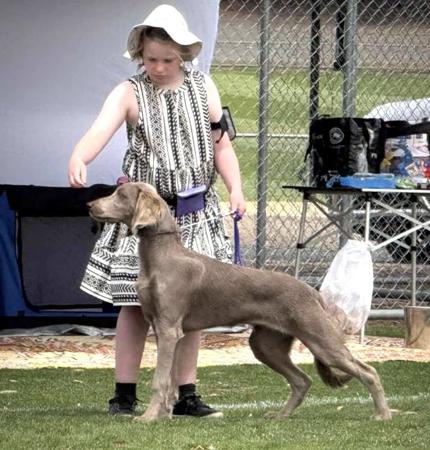 Click to view more details