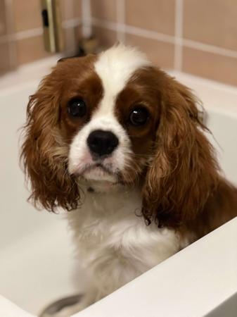 Click to view more details