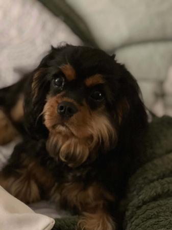 Click to view more details