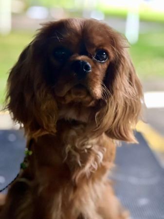 Click to view more details