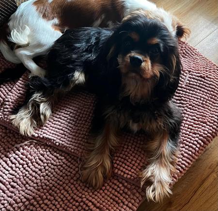 Click to view more details