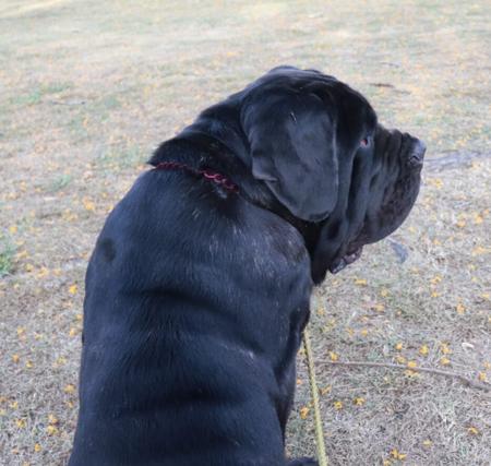 Click to view more details