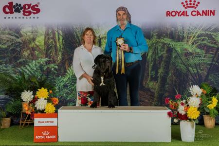 Click to view more details