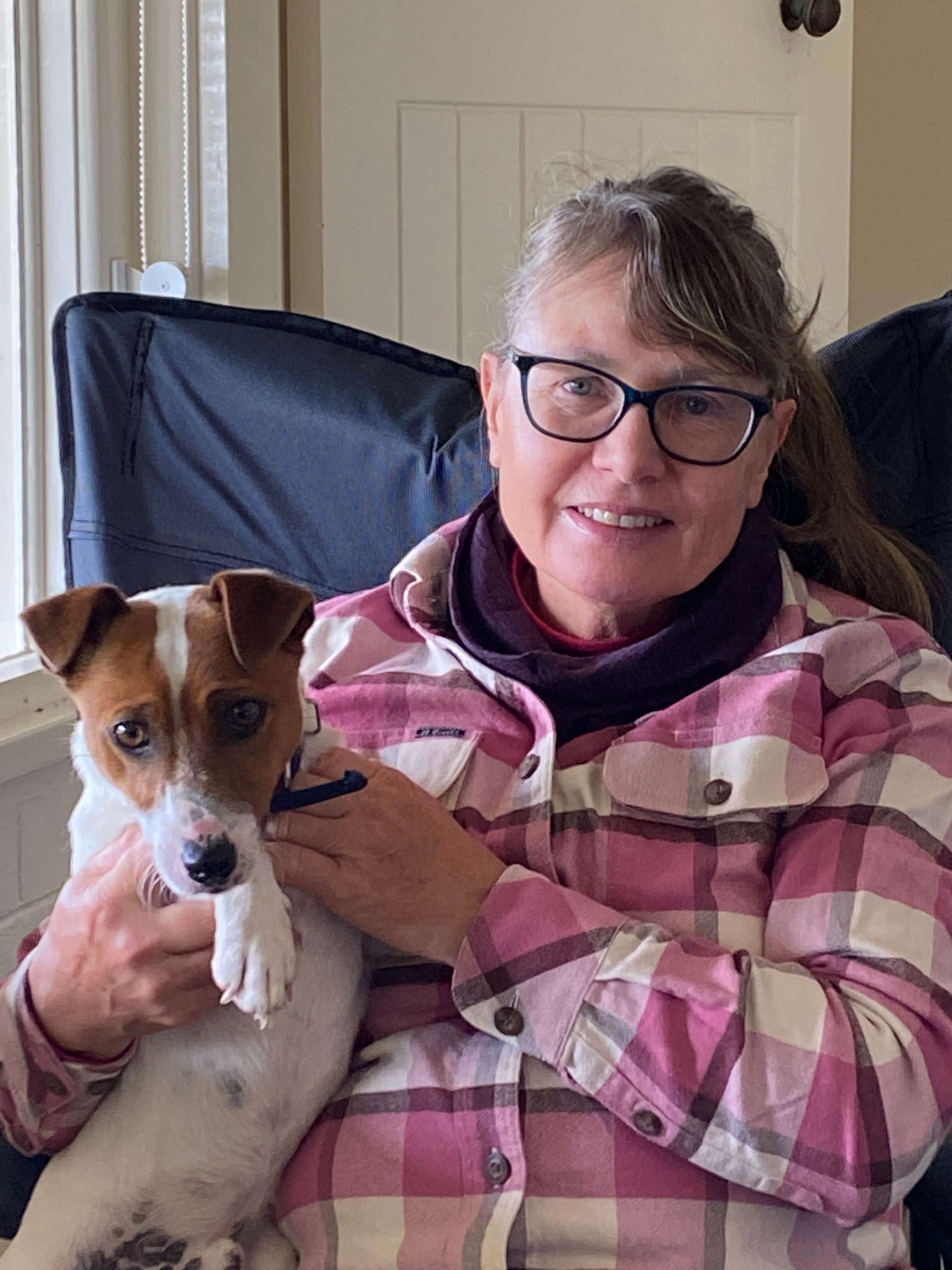 Jack Russell Terrier for sale by COORABIN