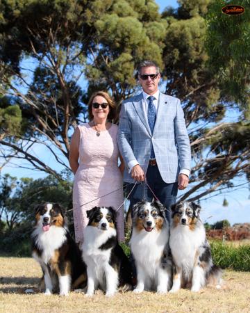Australian Shepherd puppy for sale by ELLAGANT