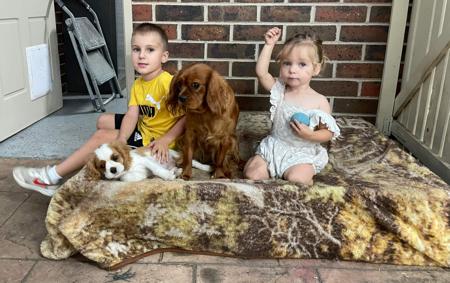 Cavalier King Charles Spaniel for sale by VONMASTIKA