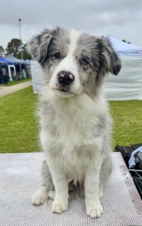 Click to view more details