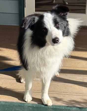 Click to view more details