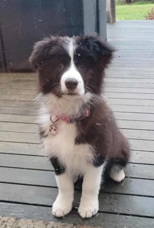 Click to view more details