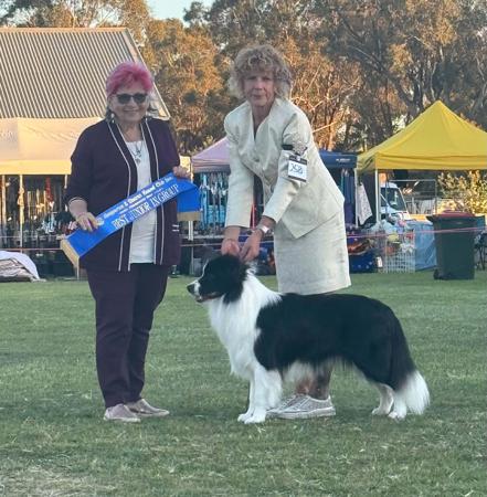 Click to view more details