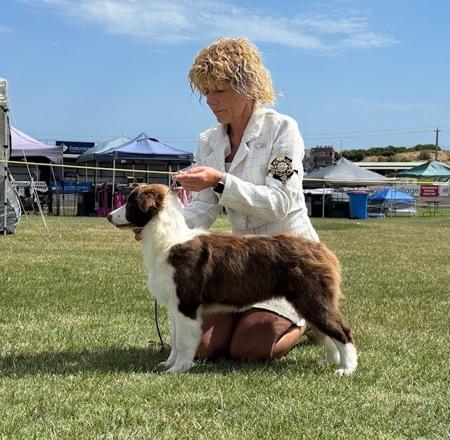 Click to view more details