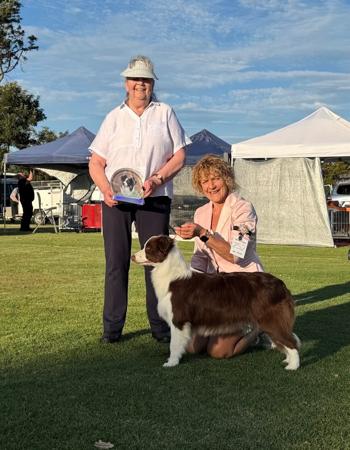 Click to view more details