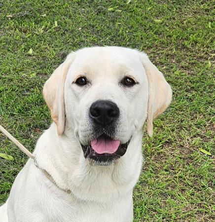 Click to view more details