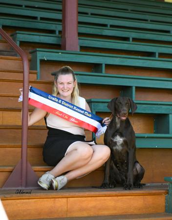 German Shorthaired Pointer for sale by MOLAKEE