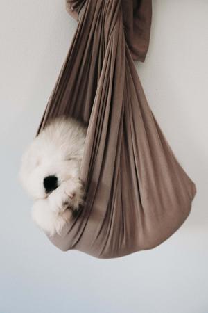 Samoyed for sale by SASHENKA