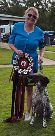 German Shorthaired Pointer for sale by STERNENGEIST
