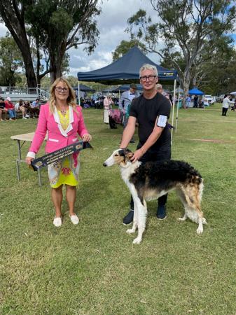 Borzoi for sale by SASHAYAWAY