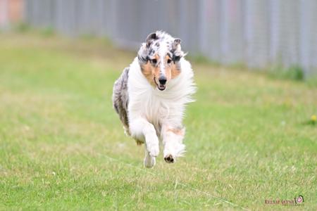 Click to view more details