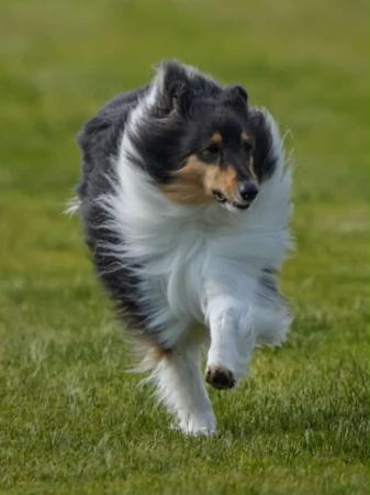 Click to view more details