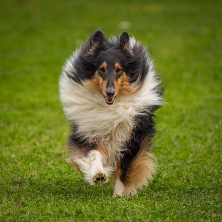 Click to view more details